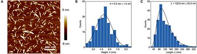 Cellulose Nanocomposite Hydrogels: From Formulation to Material Properties